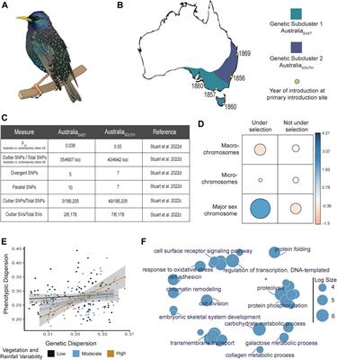 Evolutionary genomics: Insights from the invasive European starlings